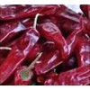 年前急售200吨北京红油椒