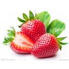 常年出售优质草莓,树莓，黑加仑苗