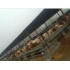 2013年 小尾寒羊价格 西门塔尔牛价格 波尔山羊价格