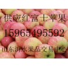 山东省水晶红富士苹果价格|今天红富士苹果价格