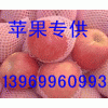 13969960993供应山东红富士苹果基地