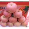 山东红富士苹果供应15020308396