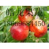 中国哪个省的油桃好 今年油桃行情 油桃怎么卖 油桃卖多钱一斤