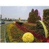 最新报价的五色草立体花坛：开封市信誉好的五色草立体花坛设计哪里有提供