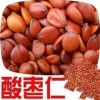 顺通酸枣仁出售直销红枣种子 特价红枣种子