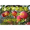 山东早熟苹果 山东红星苹果  山东金帅苹果