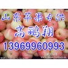 山东红富士批发基地  13969960993
