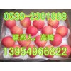 １３９５４９６６８２２山东纸袋/膜袋红富士苹果产地最新价格