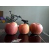 山东红富士苹果价格供应苹果批发价格
