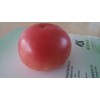 鲁盛农业基地大番茄 无公害新鲜西红柿 包邮普装12个
