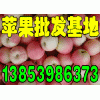 １３８５３９８６３７３山东纸袋/膜袋红富士苹果最新价格