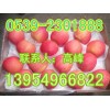 １３９５４９６６８２２山东纸袋/膜袋/纸加膜红富士苹果价格