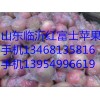 13954996619山东红富士苹果常年销售