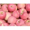 海阳苹果代收：超值的苹果代收供应，就在倍稼果蔬