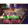 18669691338西瓜京新西瓜批发