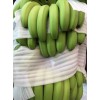 香蕉产地2015年广西武鸣大量供应优质香蕉