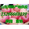 红富士苹果沂水红富士苹果产地价格便宜