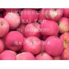 山东临沂红富士苹果供应批发价格18354426263