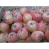 低价供应山东红富士苹果0.6元每斤