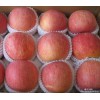 山东红富士苹果价格苹果行情果园直销价格