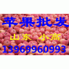 13969960993供应山东红富士苹果基地