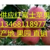 山东红富士13468118977红富士苹果批发价格及行情