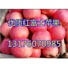 常年供应山东纸袋红富士苹果13176070985