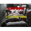 15953981688山东仔猪供应中心
