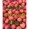 １５９４９７７２２００产地低价直销优质红富士苹果