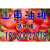 山东油桃批发18660922218