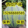 15266688585山东薄皮西瓜产地行情