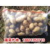 供应（提供）土豆 土豆错季批发18631353713