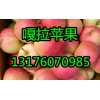 供应山东嘎拉美八苹果产地价格13176070985