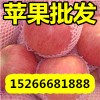 １５２６６６８１８８８山东苹果价格行情