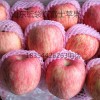山东红富士苹果供应价格18354426263