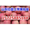 山东水果市场低价出售红富士 精品红富士苹果产地批发价格