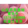 山东红富士苹果今日批发价格走向