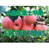 山东苹果产地供应优质水晶红富士苹果