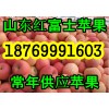 产地低价供应红富士苹果 山东精品红富士苹果批发产地