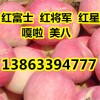 13863394777山东红富士苹果低价批发