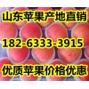 18263333915低价出售红富士苹果
