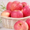 2016新果季安塞苹果80#18颗箱装水果新鲜山地红富士