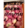山东红富士苹果产地价格 山东红富士苹果种植基地