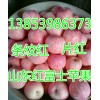 １３８５３９８６３７３精品纸袋红富士苹果产地批发价格