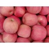１８２５３９０６１１６纸袋膜袋红富士苹果最新价格