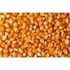湖南饲料厂大量求购玉米小麦大豆等