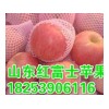 １８２５３９０６１１６优质纸袋红富士苹果批发
