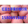 山东库存苹果价格行情