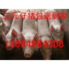仔猪经纪人代办