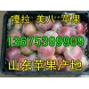山东2017年美八苹果产地价格最新行情走势